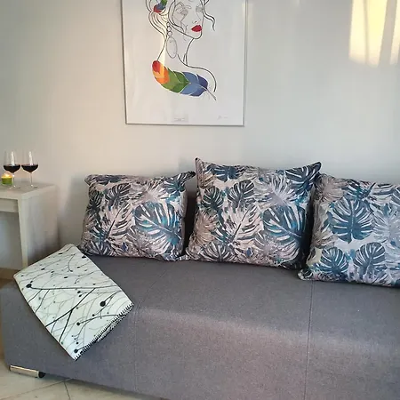 Апарт-отель Osrodek Wypoczynkowy Ludwisia